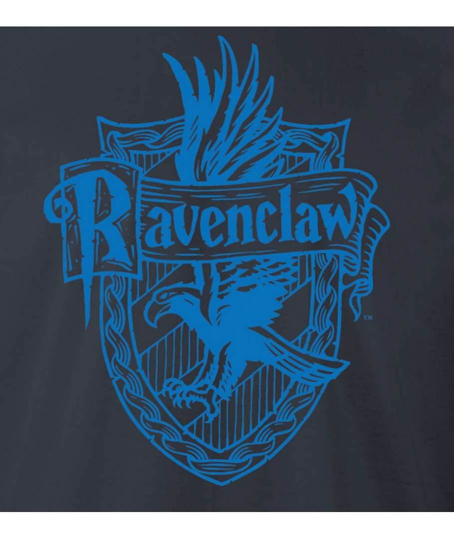 Pánské tričko Harry Potter - Havraspár (Ravenclaw) 2