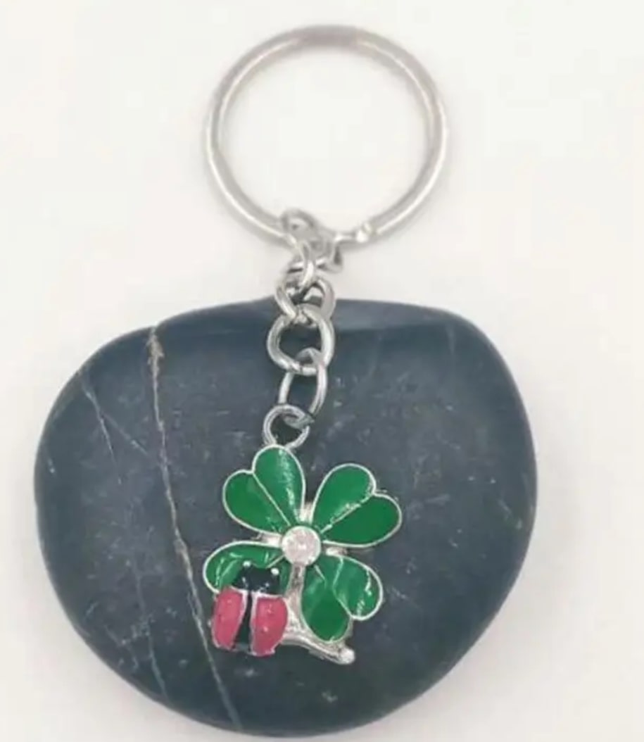 Klíčenka beruška a čtyřlístek