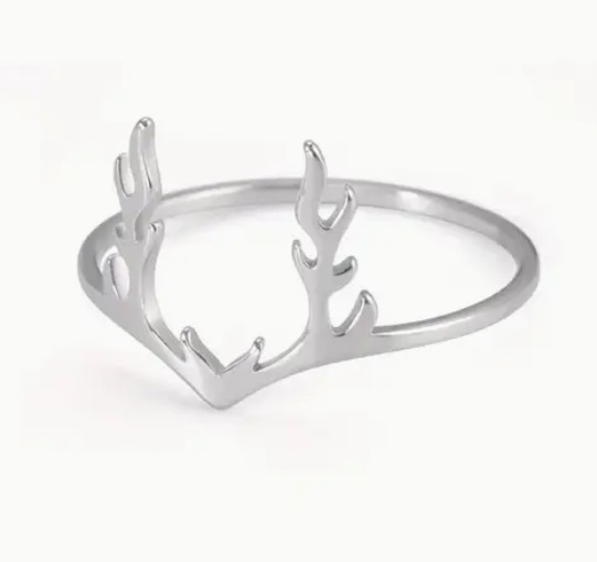 Prsten parohy (ocel)