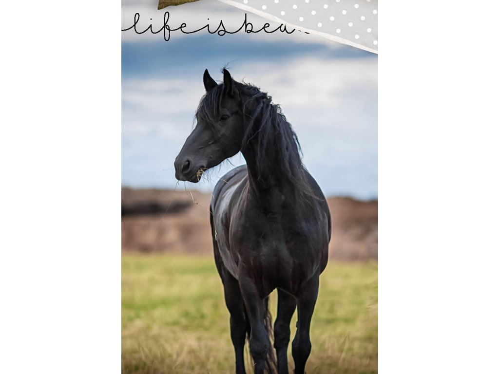 Povlečení kůň (9)