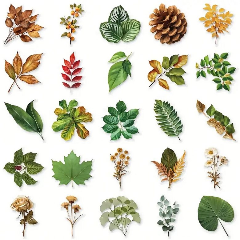 Set 50 samolepek list (2)