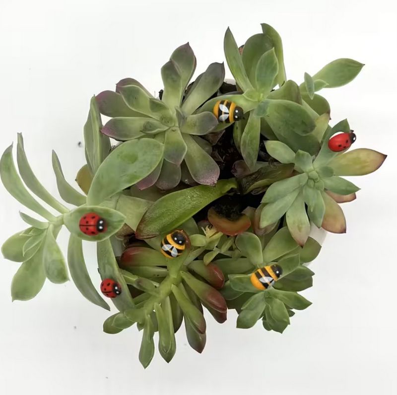 Samolepka beruška a včelička - 120 ks 