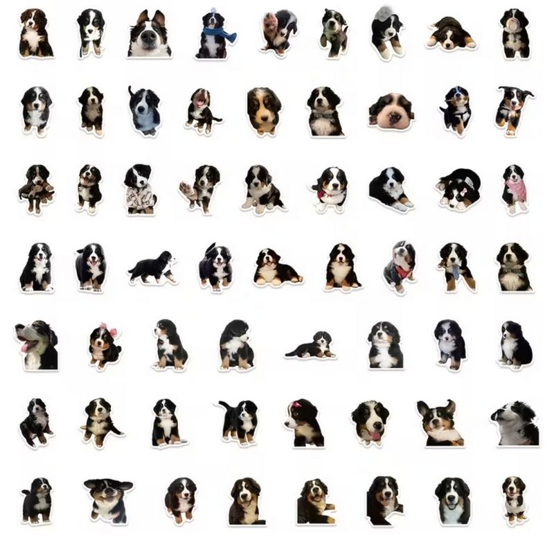Set 60 samolepek pes - bernský salašnický pes