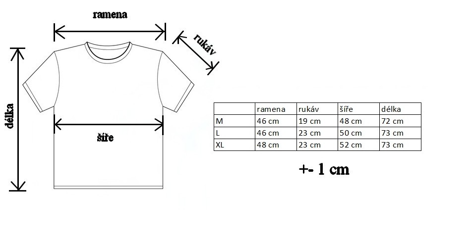 Pánské tričko Harry Potter - Havraspár (Ravenclaw) 2