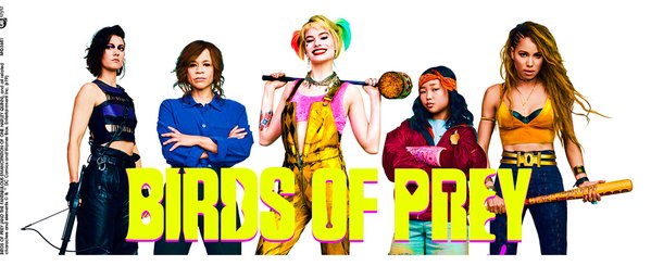 Hrnek Birds of Prey (Podivuhodná proměna Harley Quinn)