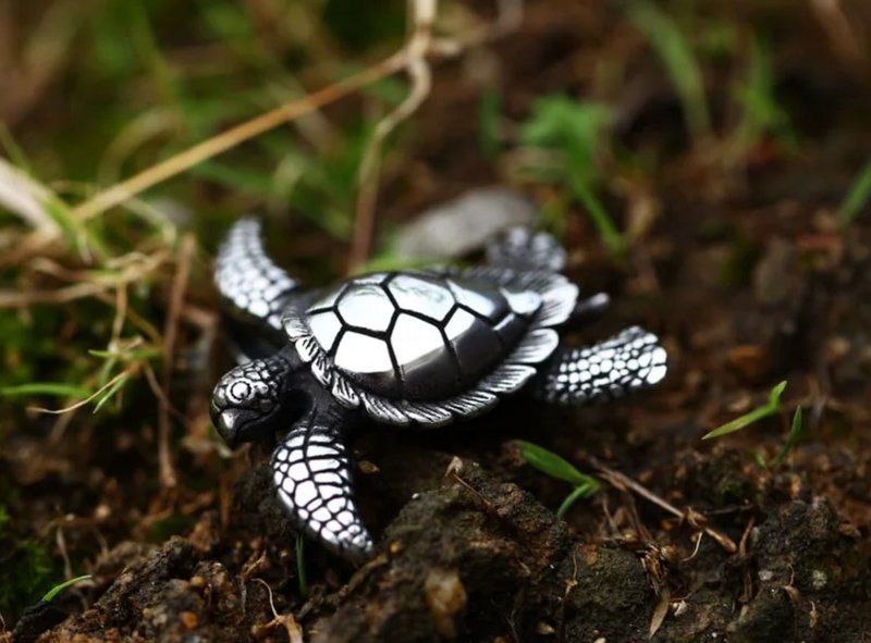 Řetízek želva (ocelový) 4