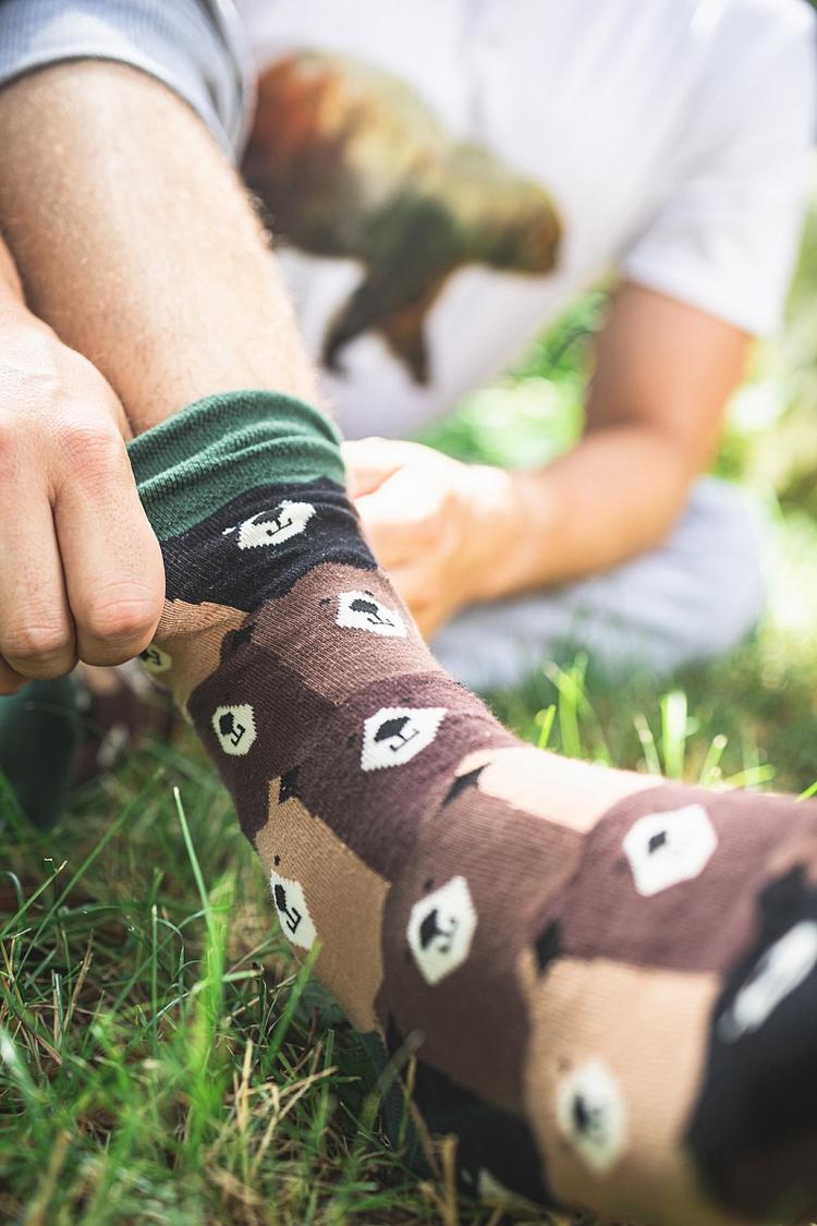 Ponožky medvědi