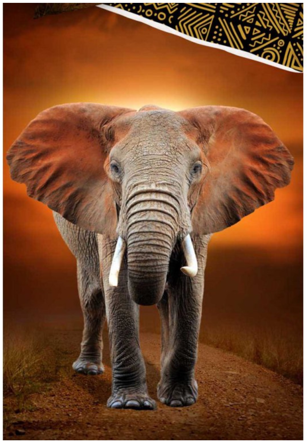 Povlečení slon etno