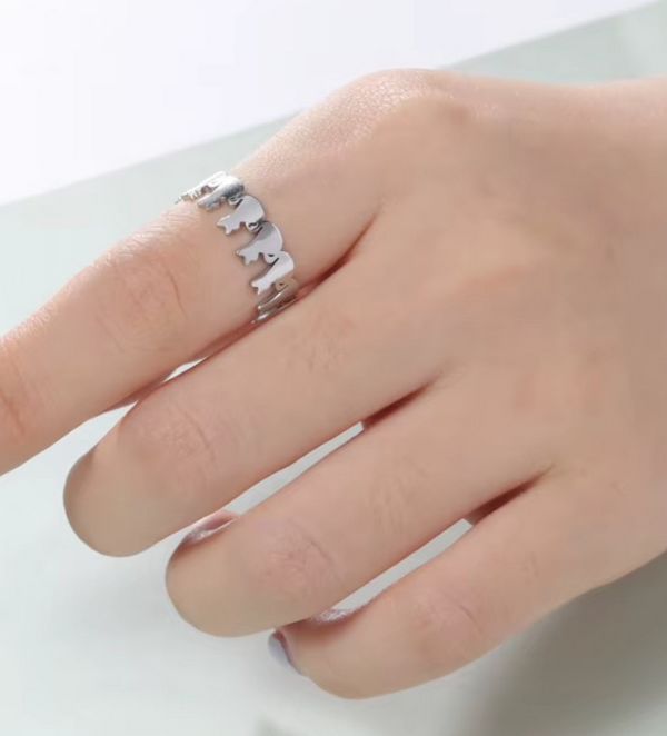 Prsten kočka - ocelový (10)