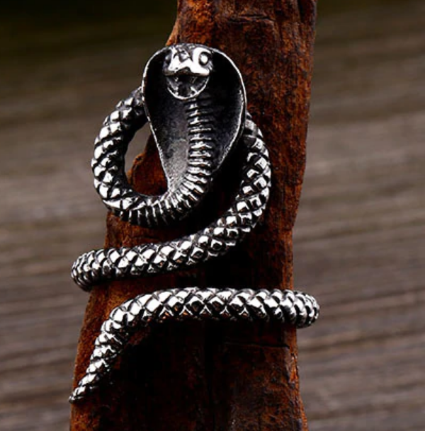 Prsten had kobra - ocelový (3)