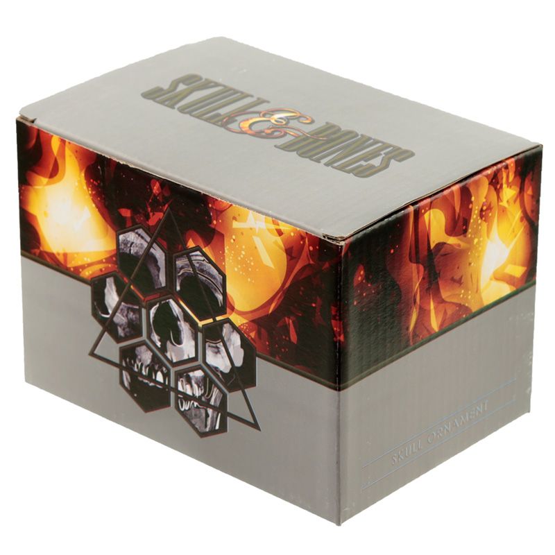 Korbel lebka s chobotnicí