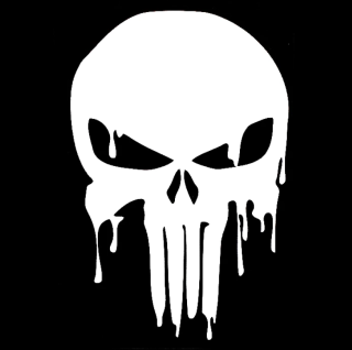 Samolepka (na auto, notebook) Punisher - bílá (4)