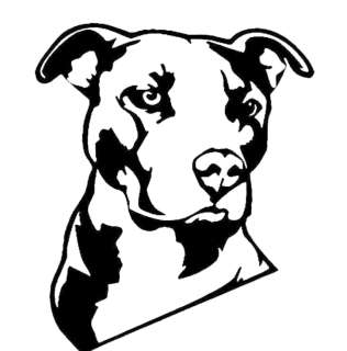 Samolepka (na auto, notebook) Pitbull - černá