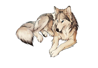 Samolepka (na auto, notebook) vlk (4)