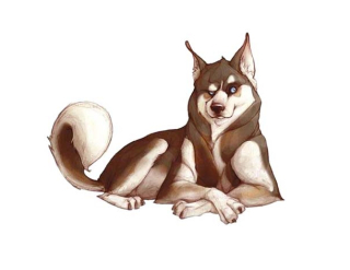 Samolepka (na auto, notebook) husky (2)