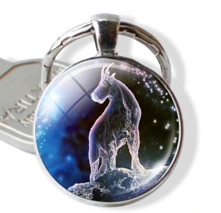 Klíčenka znamení zvěrokruhu - kozoroh