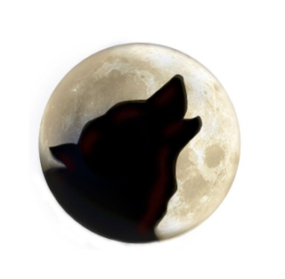 Samolepka (na auto, notebook) vlk (24)