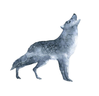 Samolepka (na auto, notebook) vlk (28)