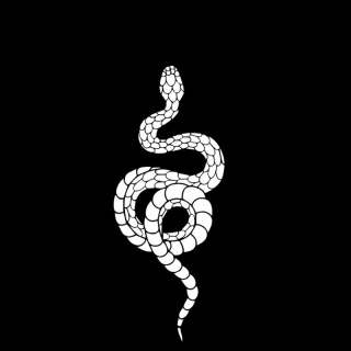 Samolepka (na auto, notebook) had (bílá) 2