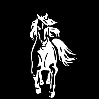 Samolepka (na auto, notebook) kůň (bílá) 13