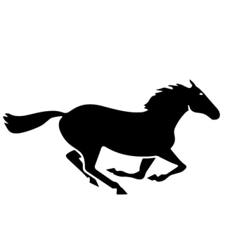 Samolepka (na auto, notebook) kůň (černá) 14