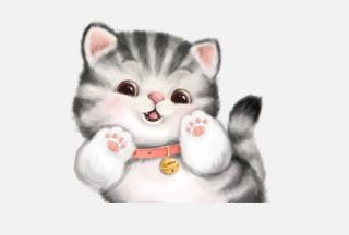 Samolepka (na auto, notebook) Kočka - barevná (6)