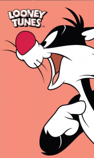 Ručník Sylvester (30 x 50 cm)