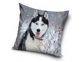 Povlak na polštář husky (2)