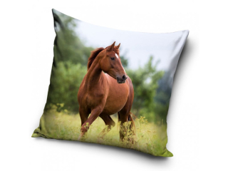 Povlak na polštář kůň - 40 x 40 cm (3)