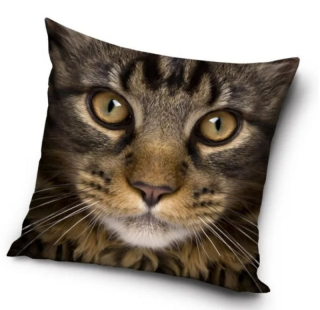 Povlak na polštář kočka (10)