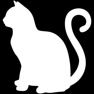 Samolepka (na auto, notebook) Kočka - bílá (15)