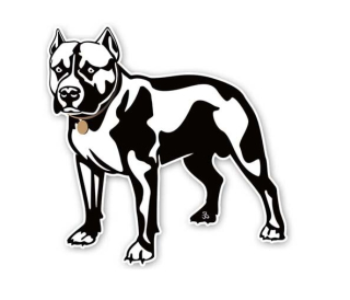 Samolepka (na auto, notebook) Pitbull (4)