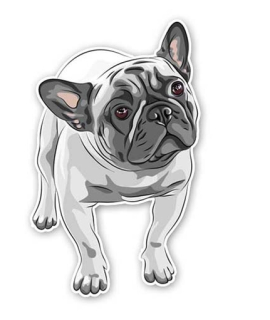 Samolepka (na auto, notebook) pes (2)