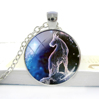 Řetízek znamení zvěrokruhu - kozoroh