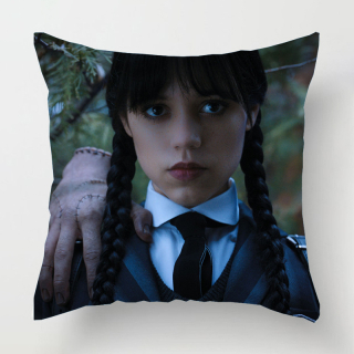 Povlak na polštář Wednesday - 40 x 40 cm