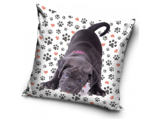 Povlak na polštář pes - štěňátko (2)