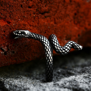 Prsten had - ocelový (4)