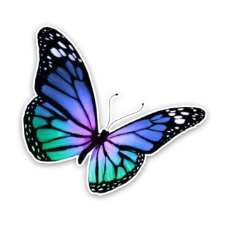 Samolepka (na auto, notebook) motýl (9)