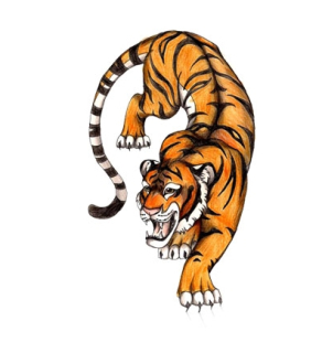 Samolepka (na auto, notebook) tygr (2)