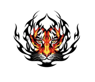 Samolepka (na auto, notebook) tygr (3)