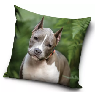 Povlak na polštář pes - pitbull (2)