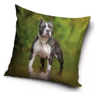 Povlak na polštář pes - pitbull (3)