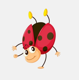 Samolepka beruška (8)