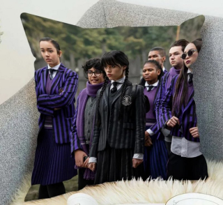 Povlak na polštář Wednesday a spolužáci - 40 x 40 cm