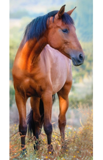 Ručník kůň na louce (30 x 50 cm)