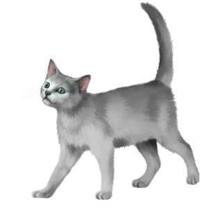 Samolepka (na auto, notebook) Kočka - barevná (10)