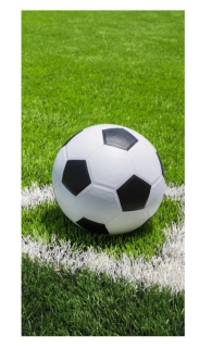 Osuška fotbalový míč na trávníku