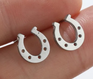 Náušnice podkova (ocel) st 2