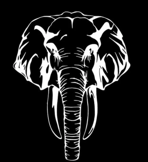 Samolepka (na auto, notebook) slon (5) bílá