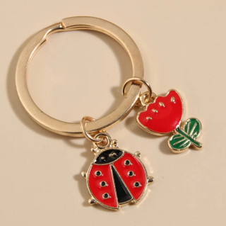 Klíčenka beruška a květina